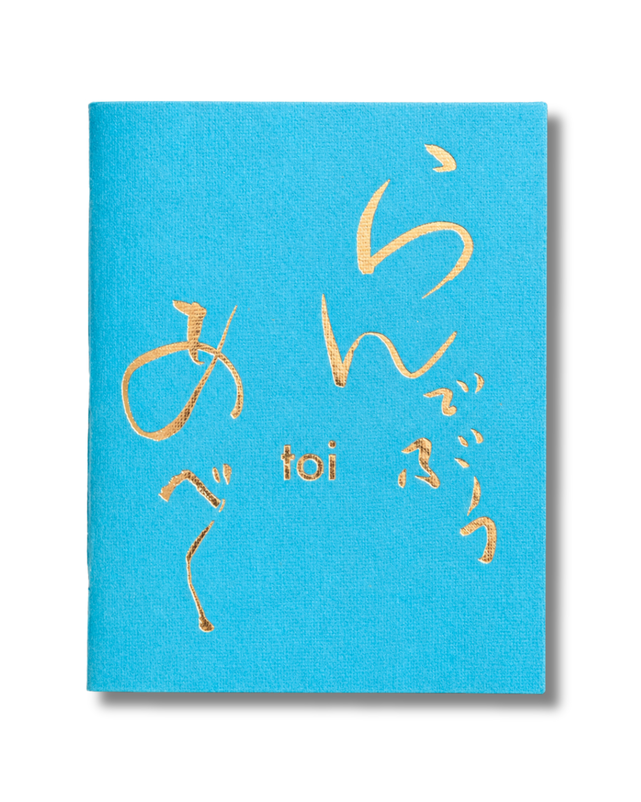 Carnet Naomi Kawaze "toi"